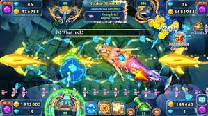 mybet
